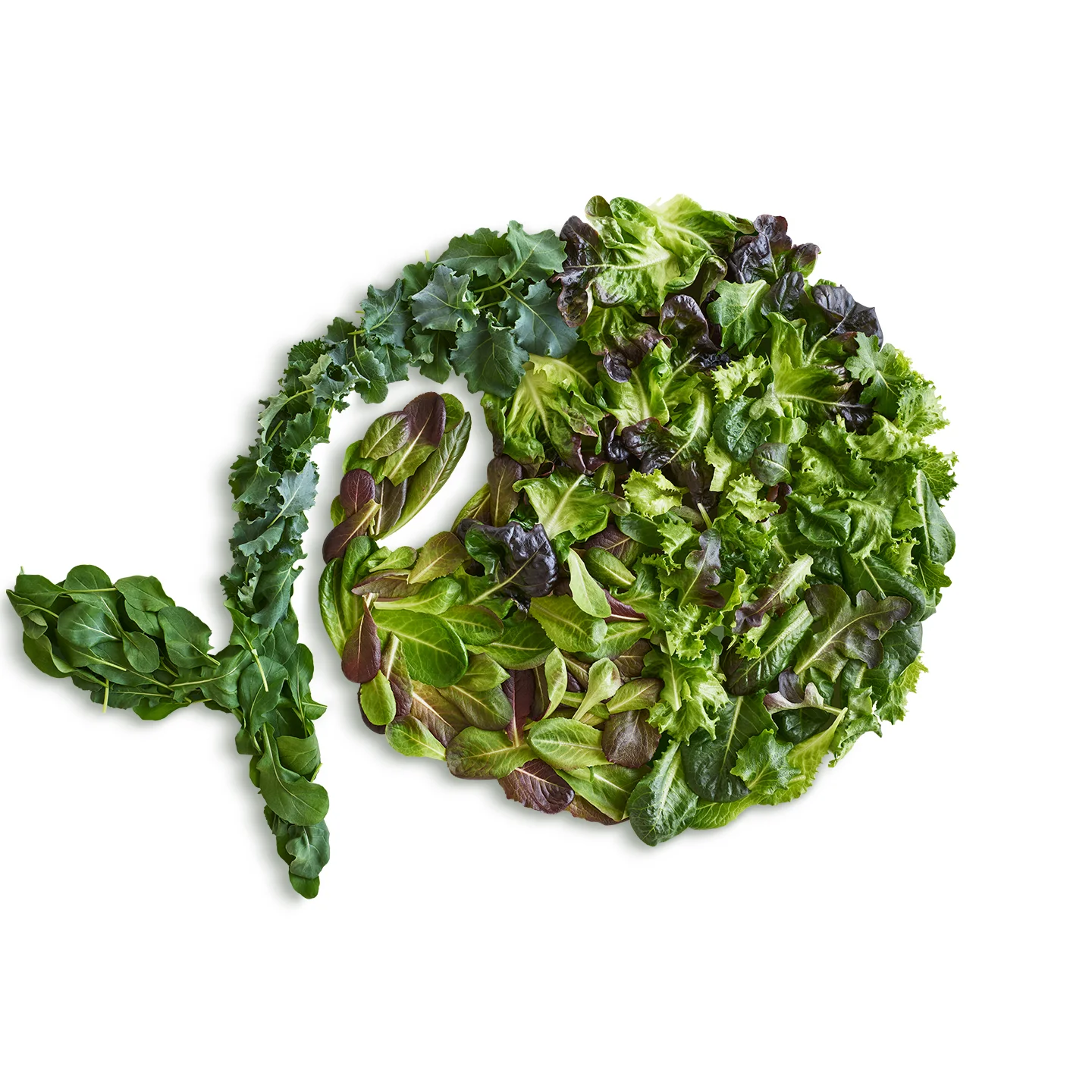 Plenty_Logo_Lettuces.jpg