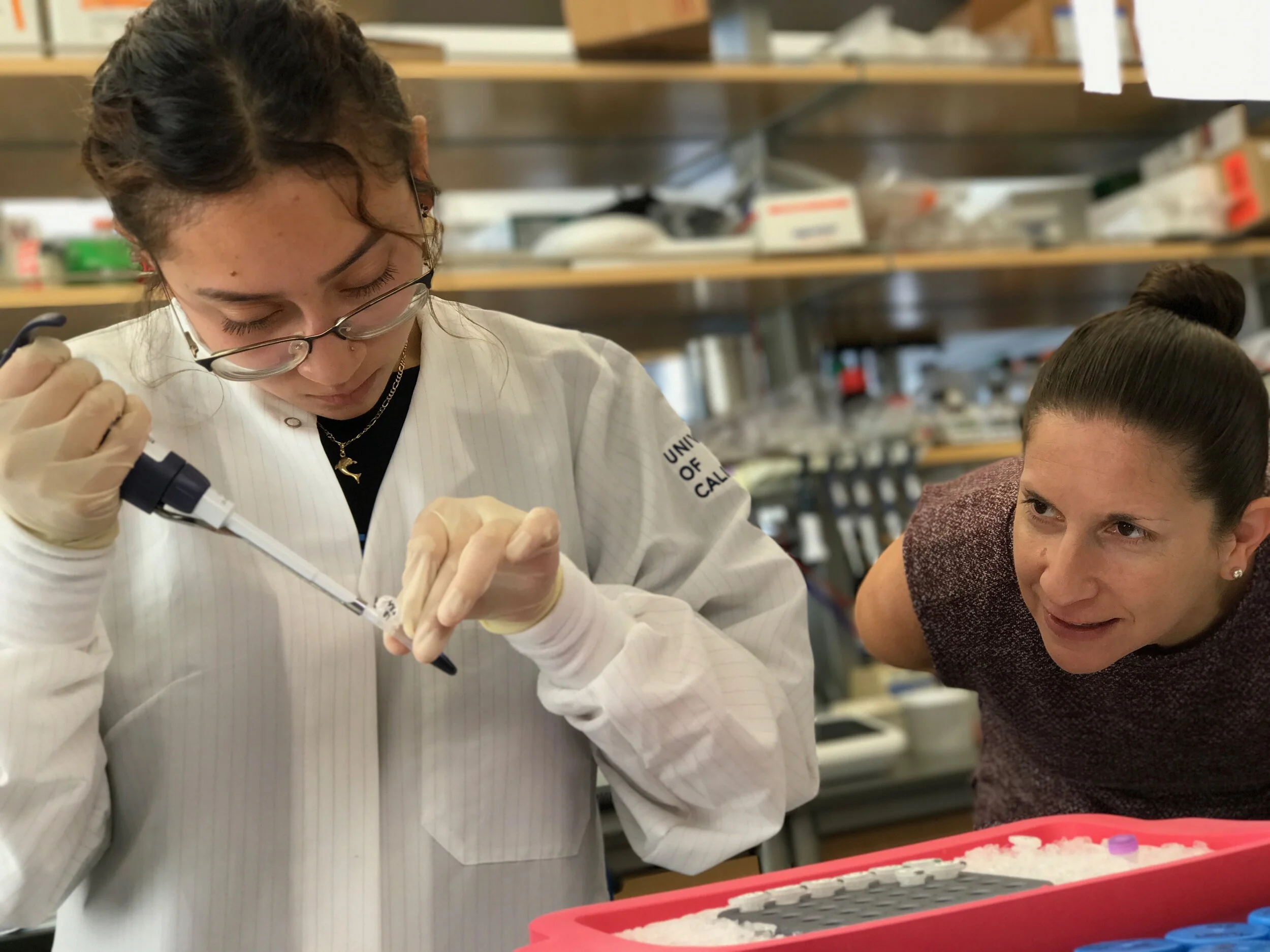   We Empower     High School Girls     To Pursue Science  