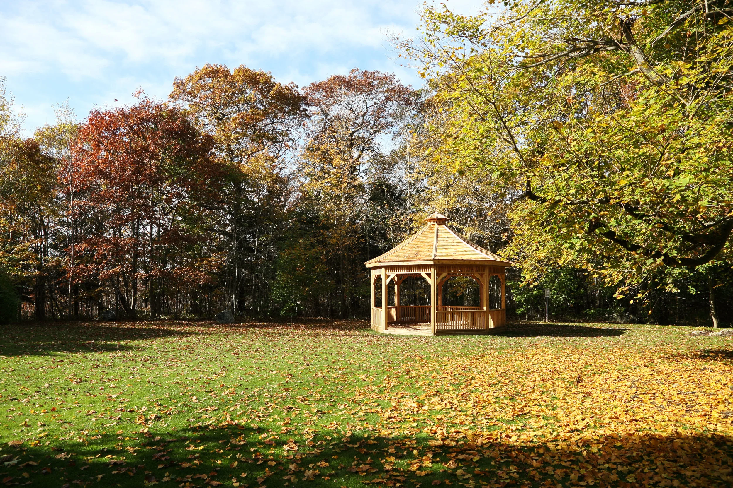 Facilitator Development Workshop