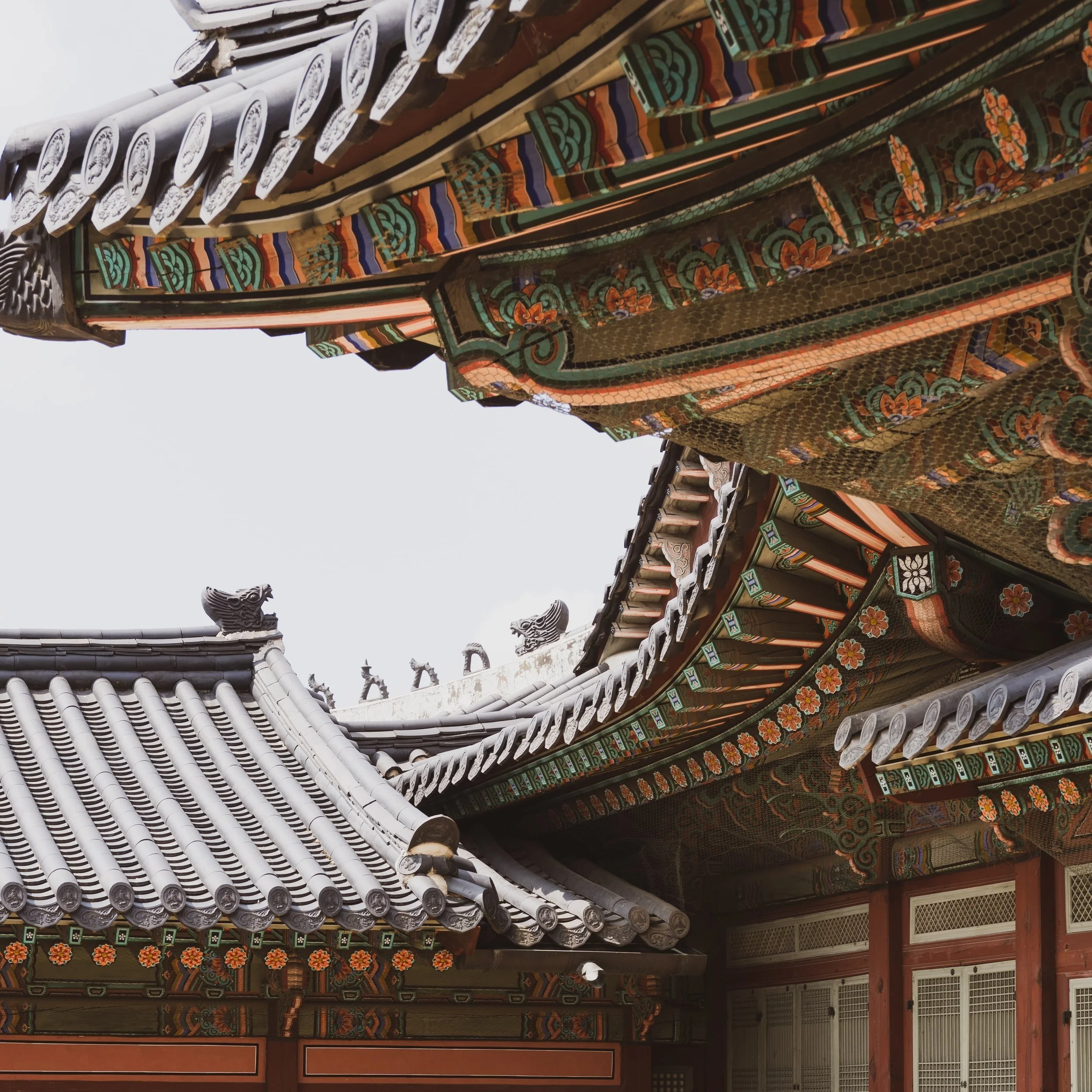 Teach this summer in Korea
