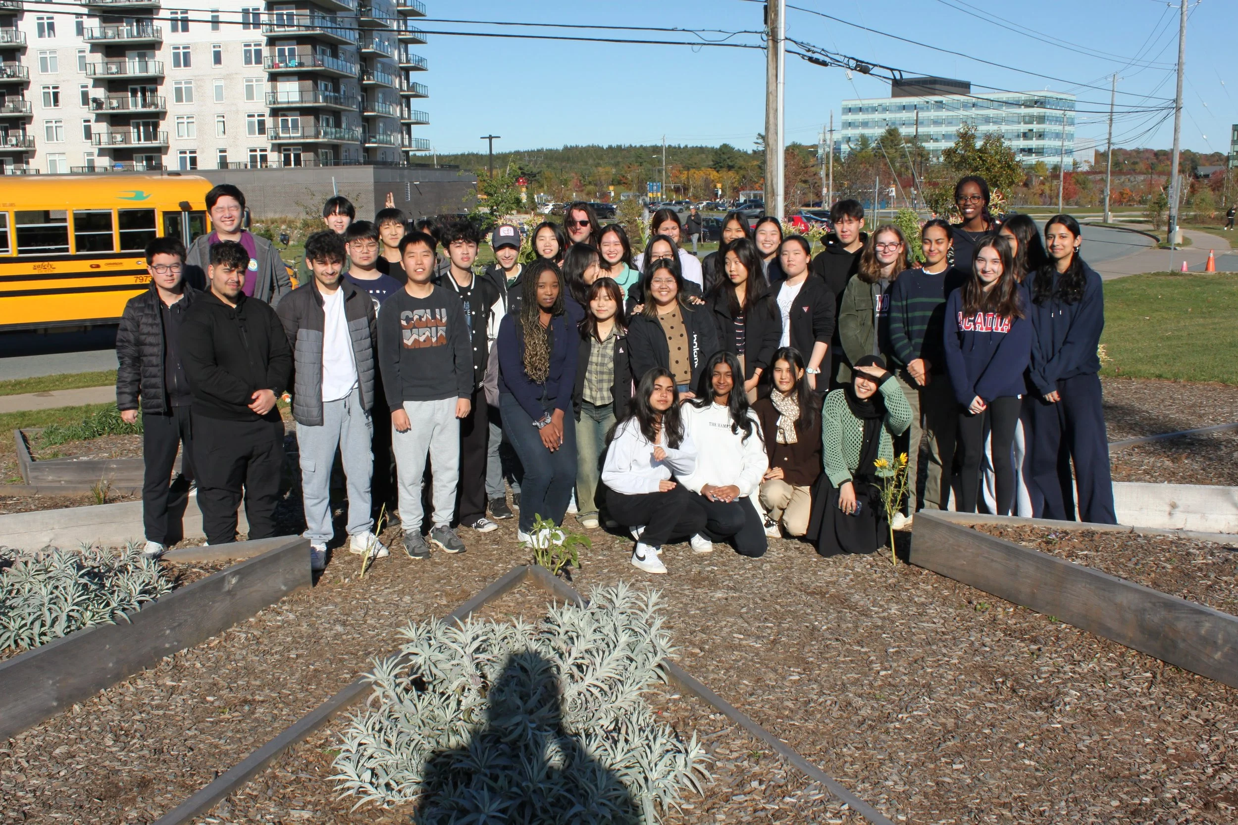 Better with Bees: Urban Meadows Project Update