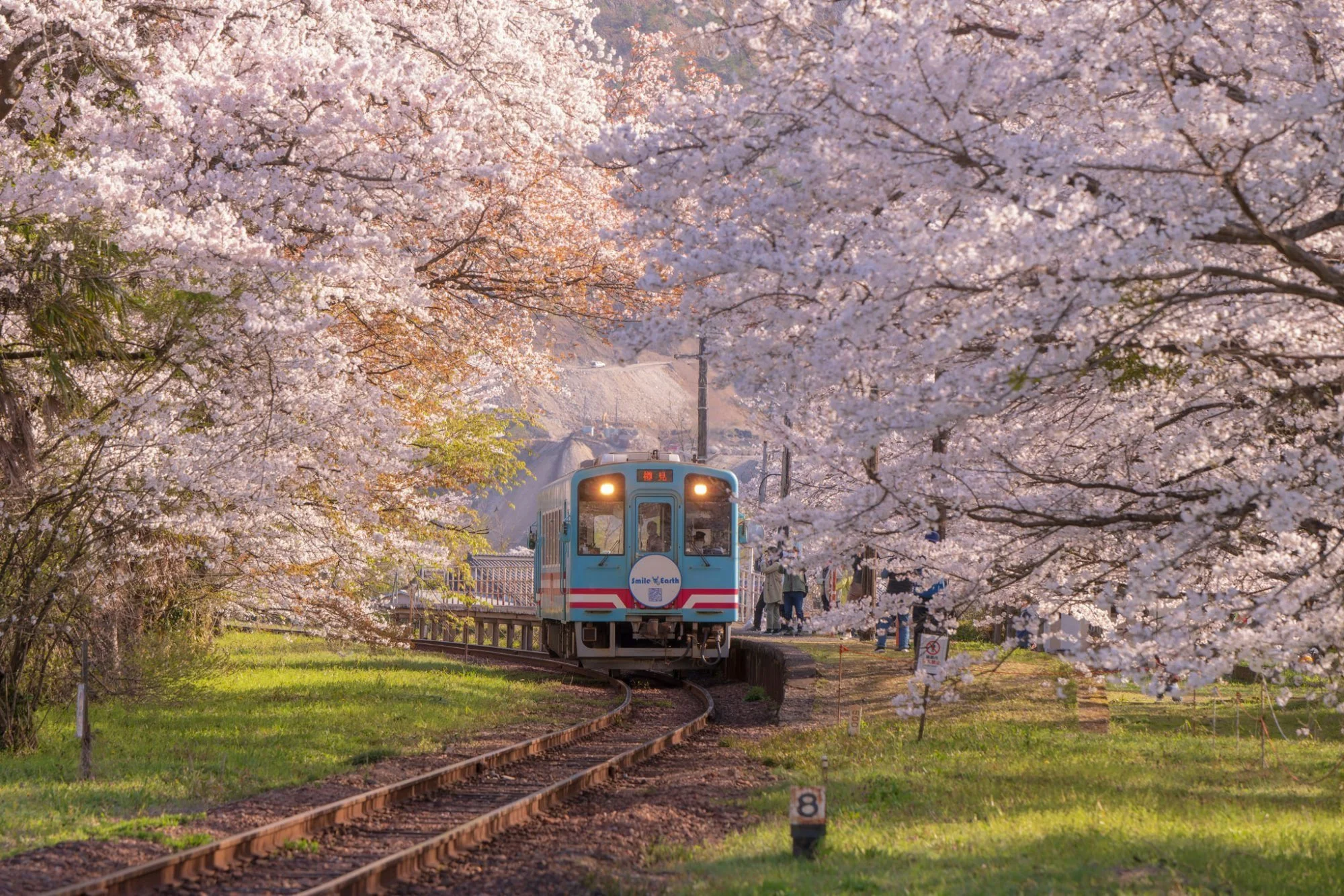 Info Session: Study in Japan