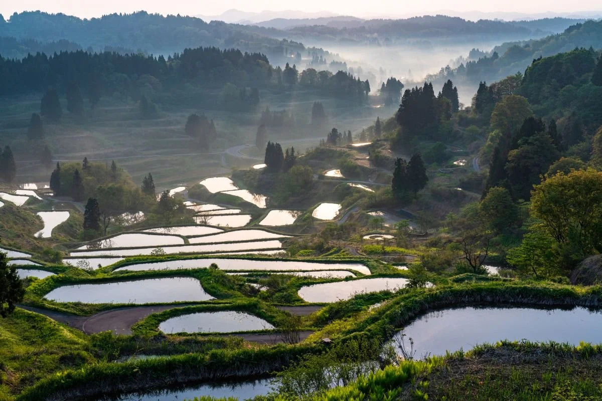 International Joint Summer Seminar in Japan