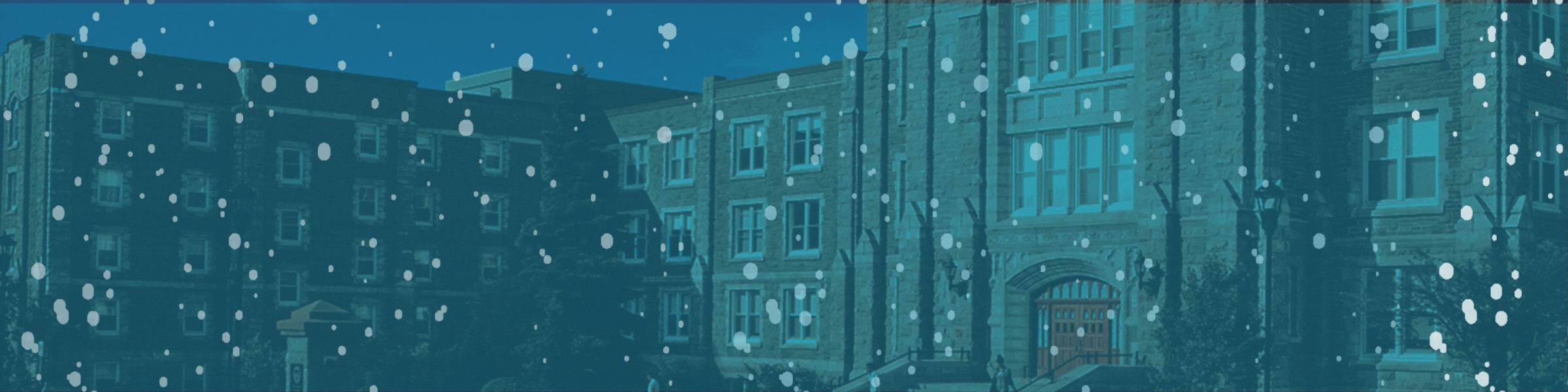 2024 Bootcamp Email Banner-4.gif