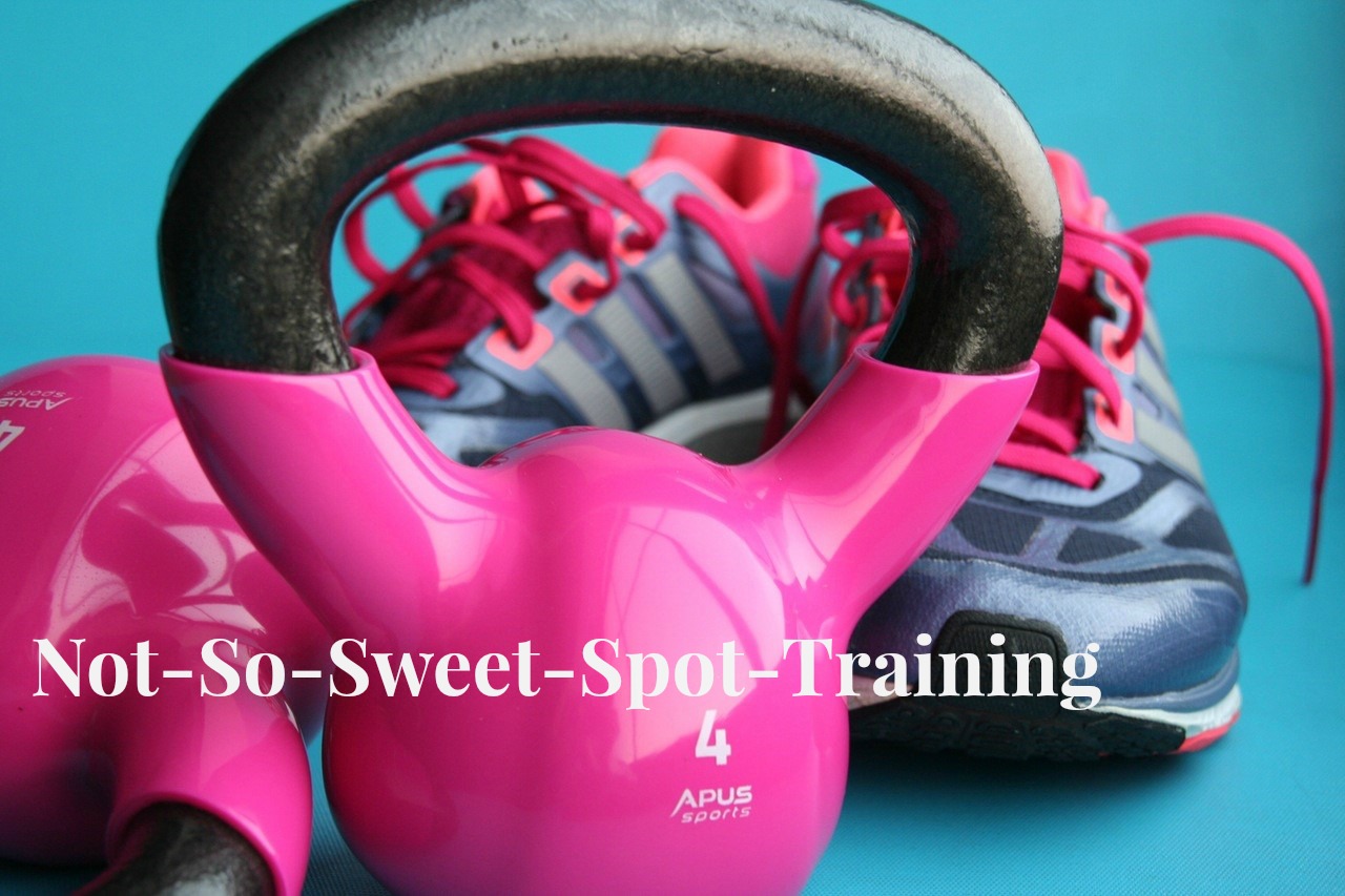 spot-training.jpg