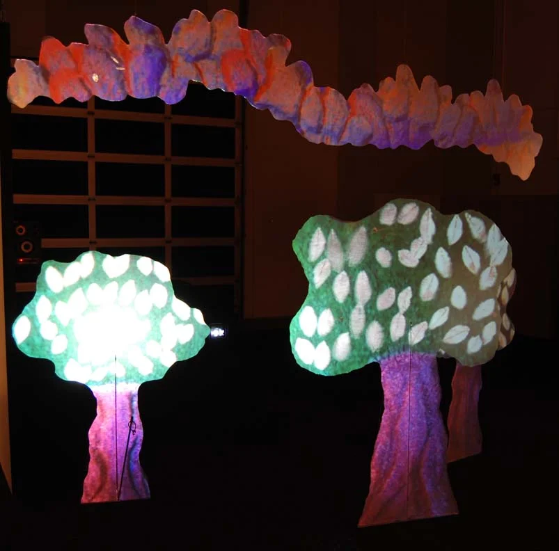 A Day in the Life of a Tree, Ben Bigelow , 2008.