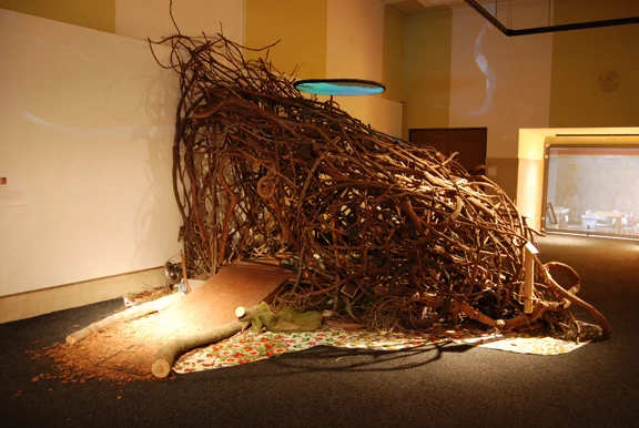 Bullies in Our Woods, Wendy Osher , 2008.