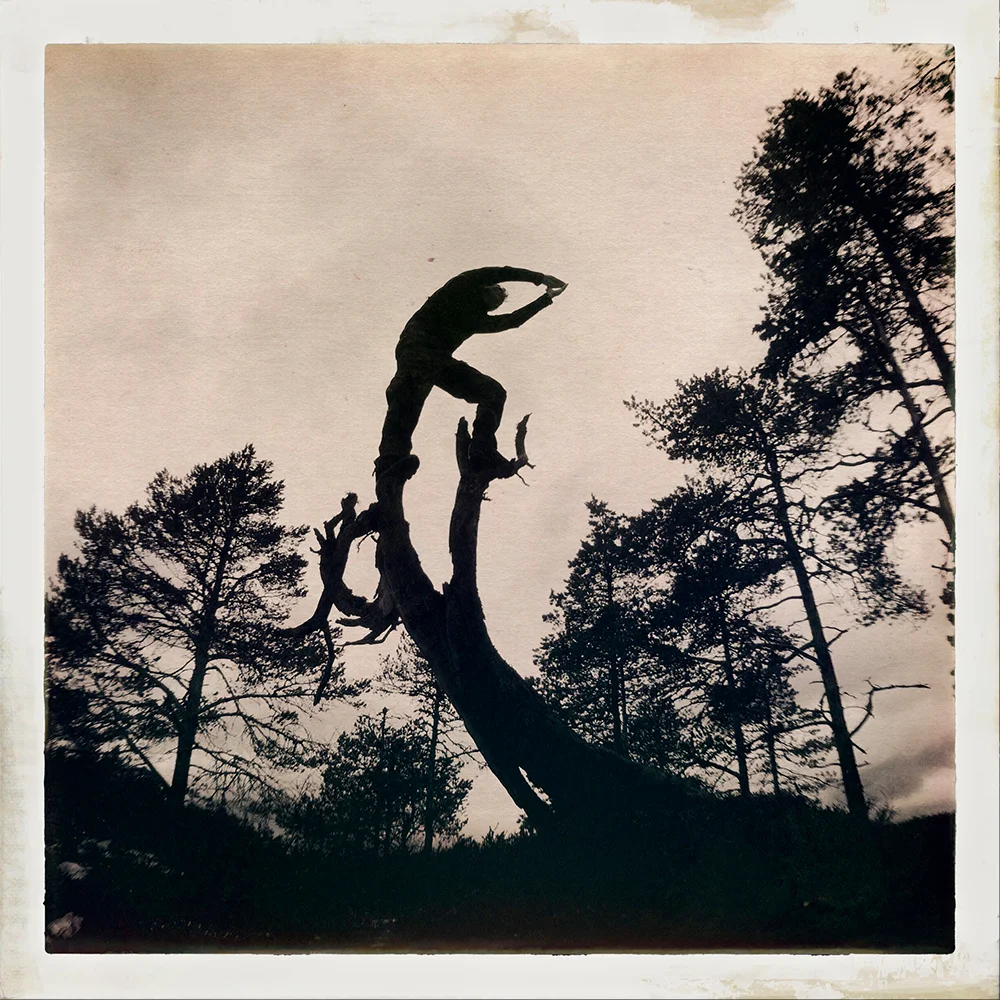 Erlend-B-Enger-onetreeme-trær-trees-people-climbing-climbingtrees-hipstamatic-fineart-topofthetrees-treetops- (1).jpg