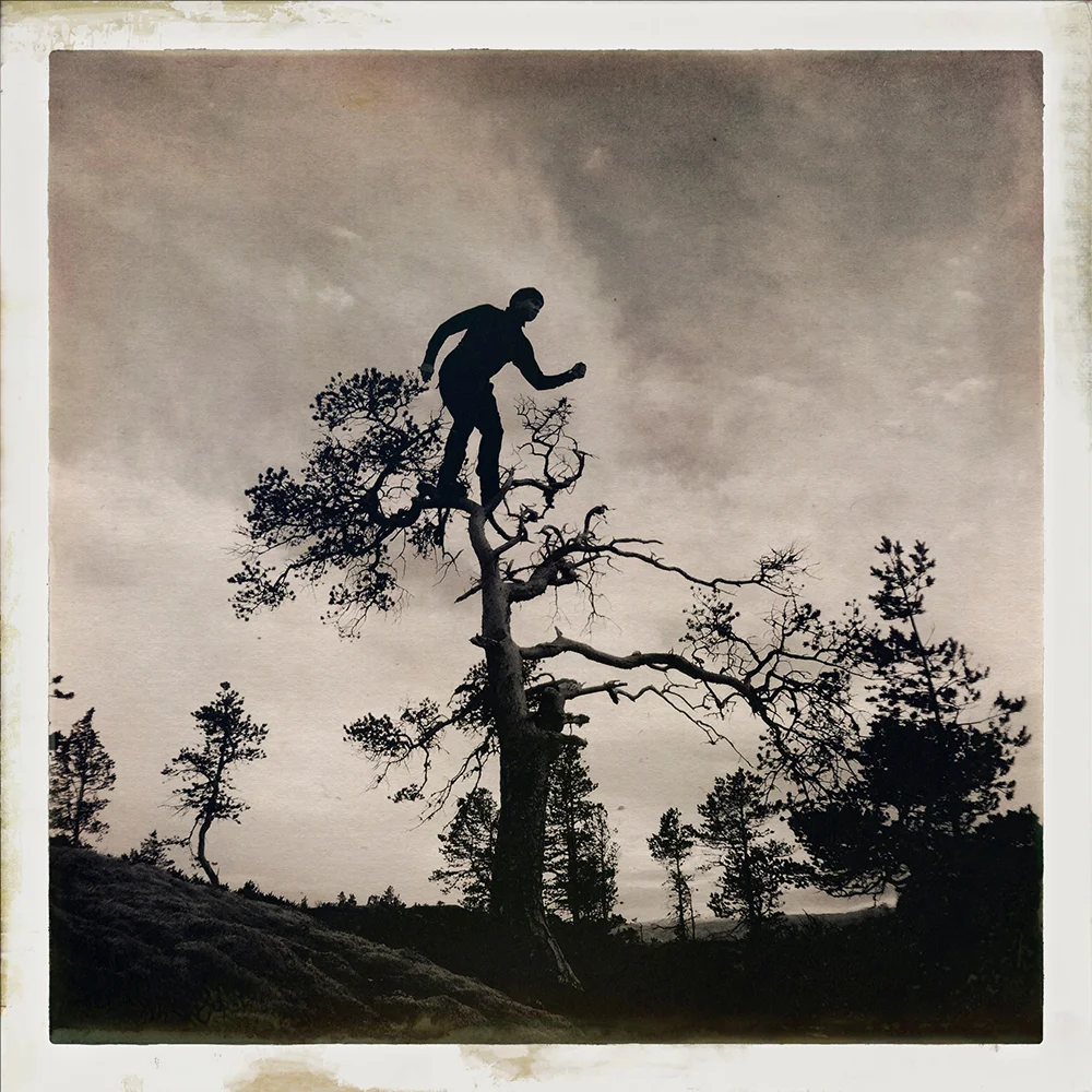 Erlend-B-Enger-onetreeme-trær-trees-people-climbing-climbingtrees-hipstamatic-fineart-topofthetrees-treetops- (4).jpg
