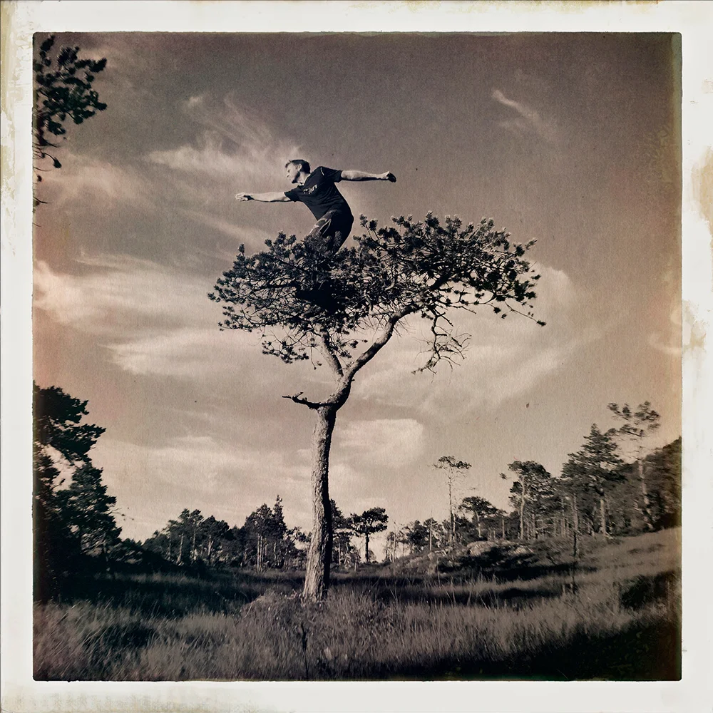 Erlend-B-Enger-onetreeme-trær-trees-people-climbing-climbingtrees-hipstamatic-fineart-topofthetrees-treetops- (10).jpg