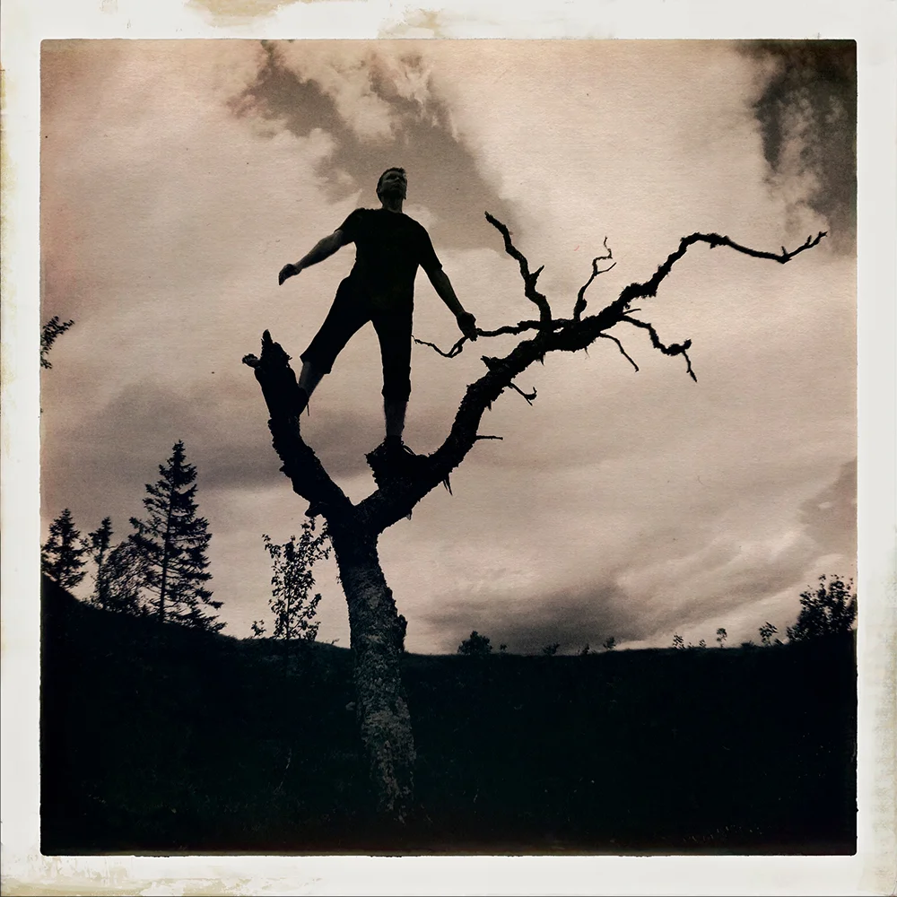 Erlend-B-Enger-onetreeme-trær-trees-people-climbing-climbingtrees-hipstamatic-fineart-topofthetrees-treetops- (12).jpg