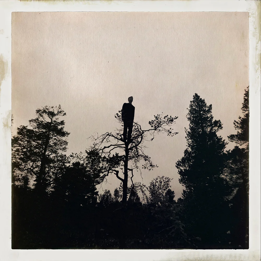 Erlend-B-Enger-onetreeme-trær-trees-people-climbing-climbingtrees-hipstamatic-fineart-topofthetrees-treetops- (14).jpg