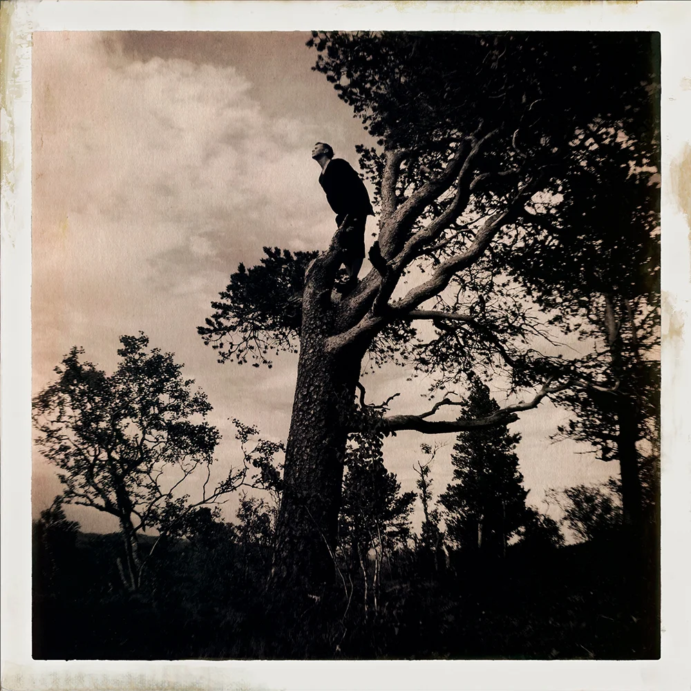 Erlend-B-Enger-onetreeme-trær-trees-people-climbing-climbingtrees-hipstamatic-fineart-topofthetrees-treetops- (15).jpg