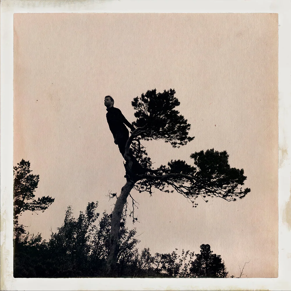 Erlend-B-Enger-onetreeme-trær-trees-people-climbing-climbingtrees-hipstamatic-fineart-topofthetrees-treetops- (18).jpg