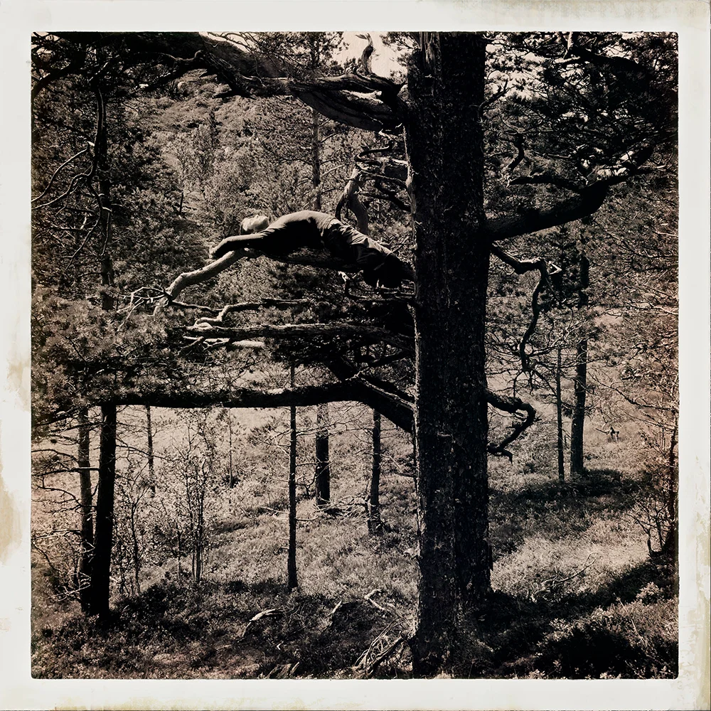 Erlend-B-Enger-onetreeme-trær-trees-people-climbing-climbingtrees-hipstamatic-fineart-topofthetrees-treetops- (21).jpg
