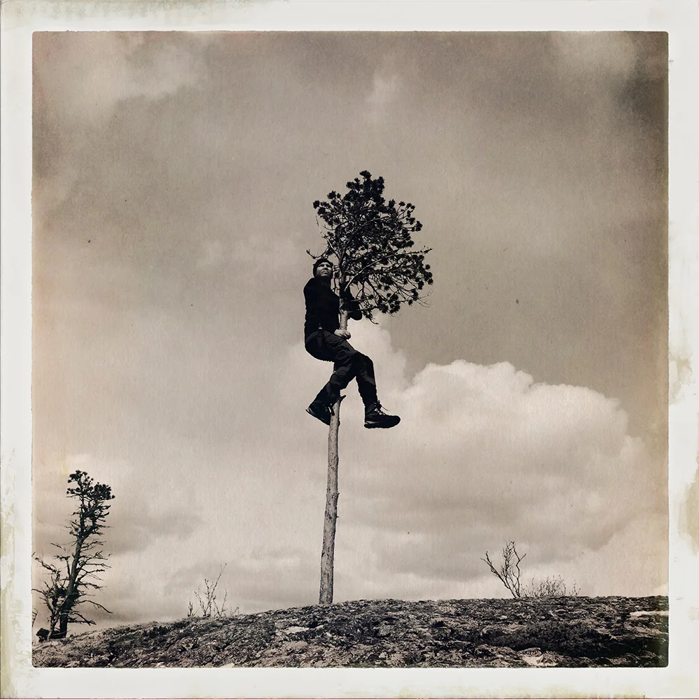 Erlend-B-Enger-onetreeme-trær-trees-people-climbing-climbingtrees-hipstamatic-fineart-topofthetrees-treetops- (25).jpg