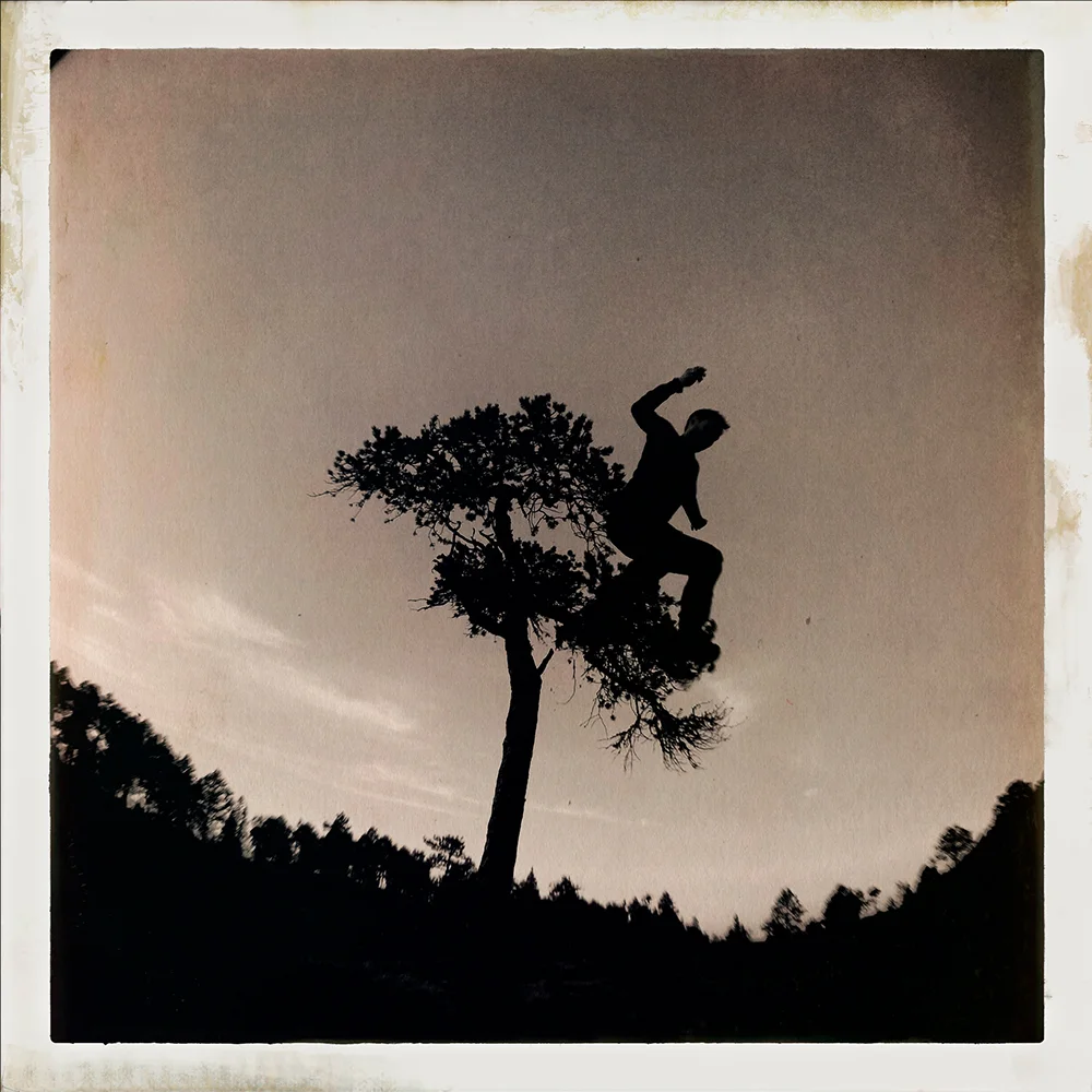 Erlend-B-Enger-onetreeme-trær-trees-people-climbing-climbingtrees-hipstamatic-fineart-topofthetrees-treetops- (26).jpg