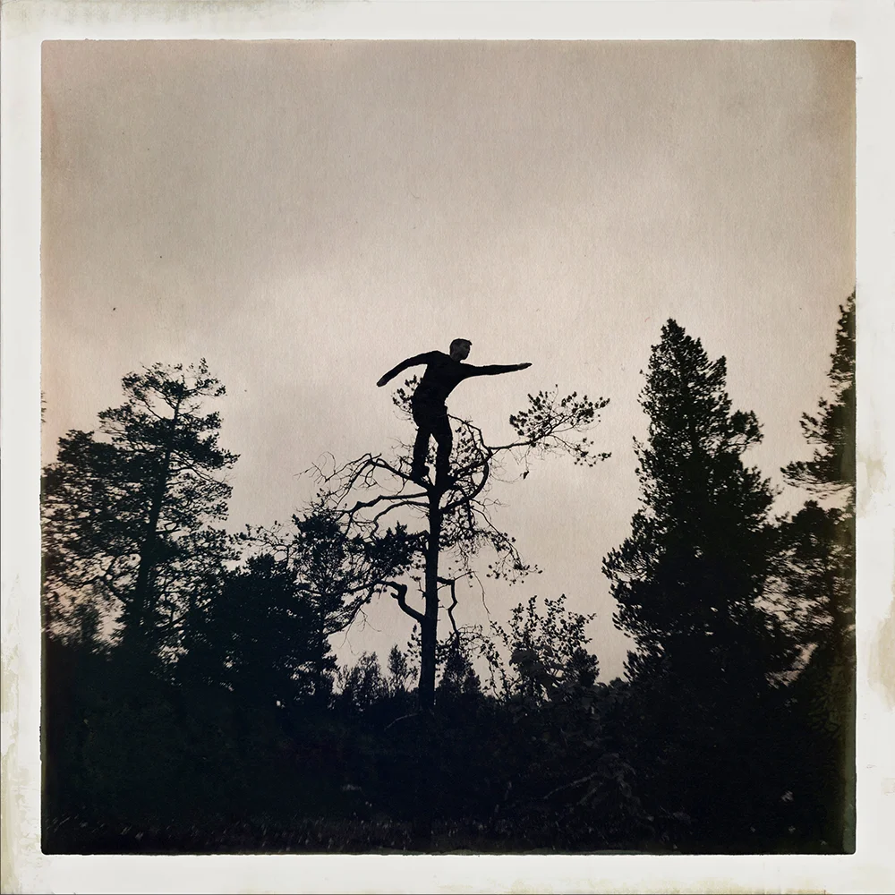 Erlend-B-Enger-onetreeme-trær-trees-people-climbing-climbingtrees-hipstamatic-fineart-topofthetrees-treetops- (27).jpg