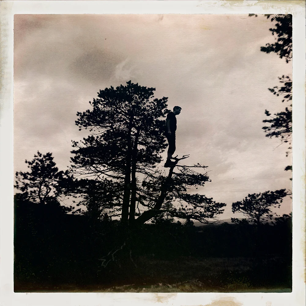 Erlend-B-Enger-onetreeme-trær-trees-people-climbing-climbingtrees-hipstamatic-fineart-topofthetrees-treetops- (29).jpg