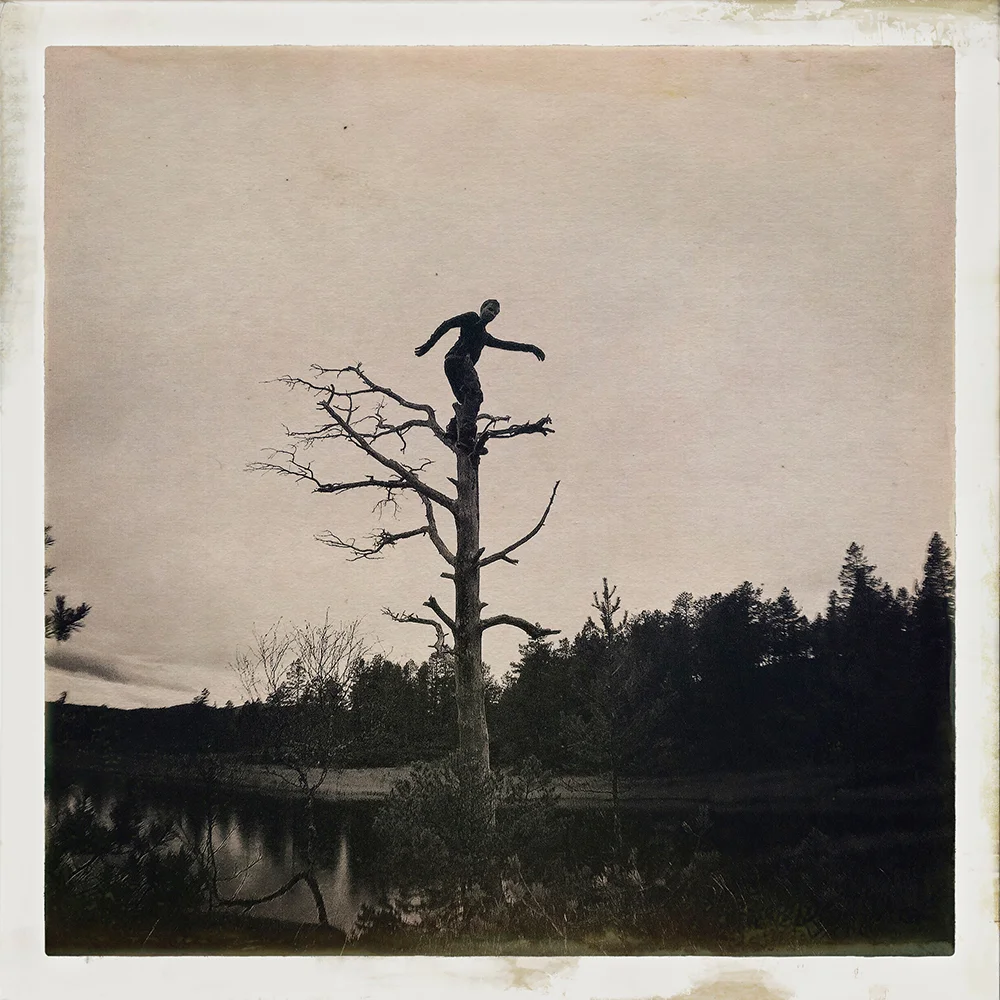 Erlend-B-Enger-onetreeme-trær-trees-people-climbing-climbingtrees-hipstamatic-fineart-topofthetrees-treetops- (32).jpg