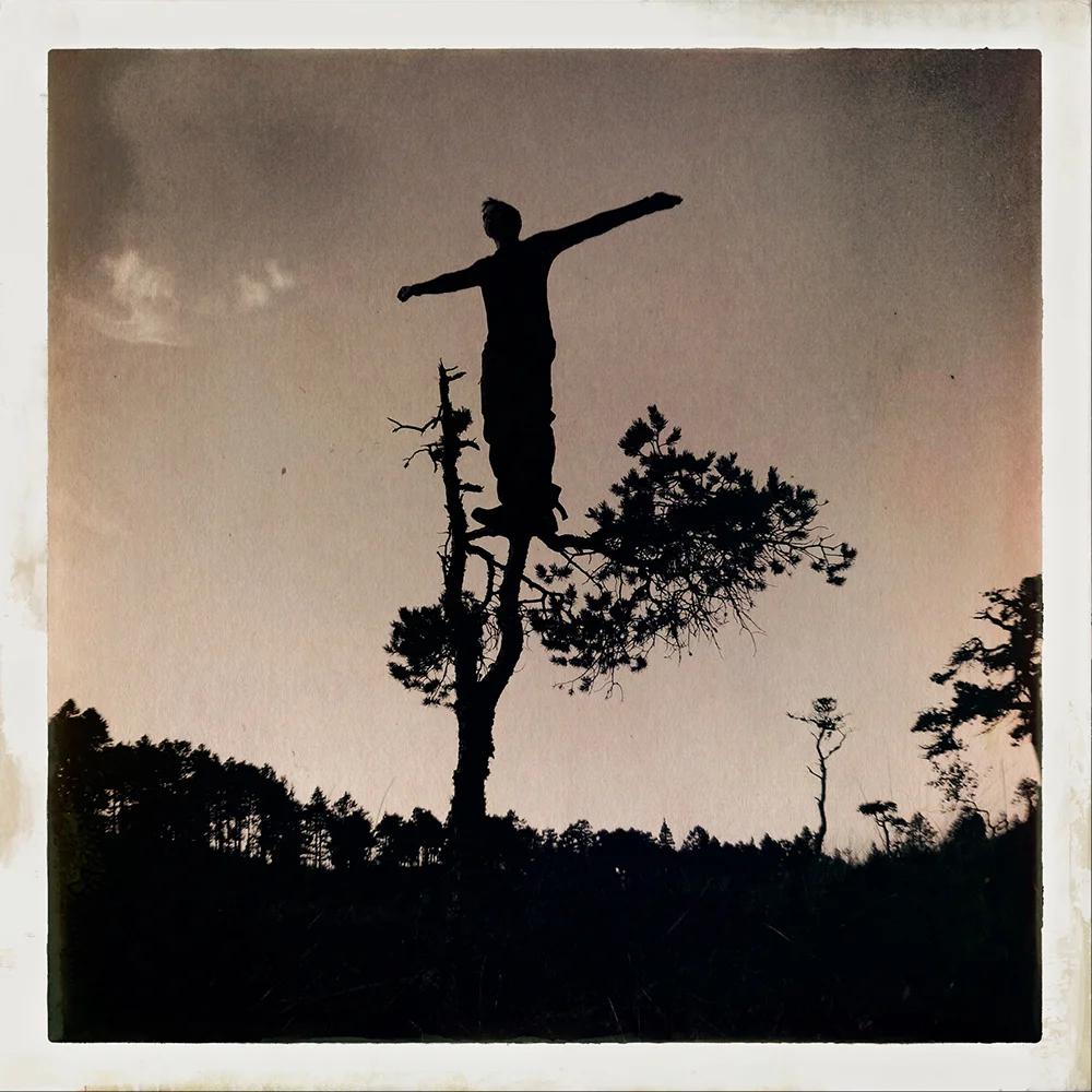 Erlend-B-Enger-onetreeme-trær-trees-people-climbing-climbingtrees-hipstamatic-fineart-topofthetrees-treetops- (36).jpg