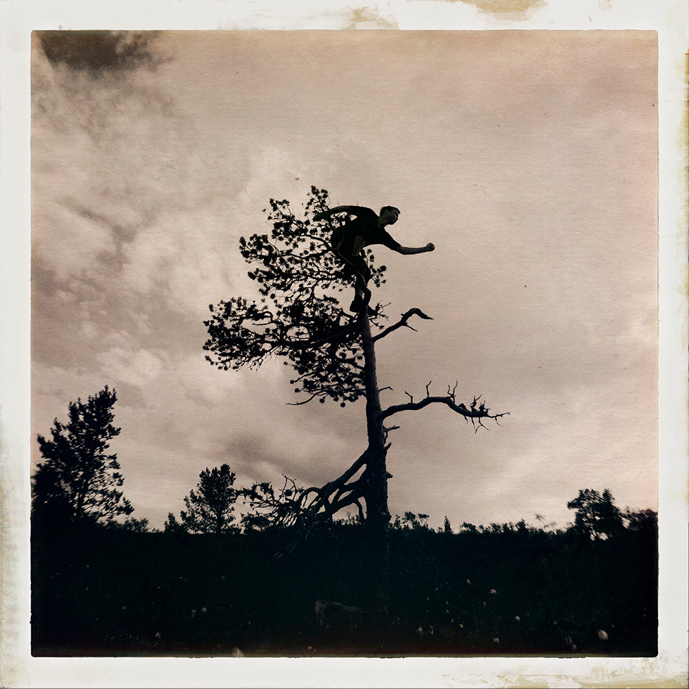 Erlend-B-Enger-onetreeme-trær-trees-people-climbing-climbingtrees-hipstamatic-fineart-topofthetrees-treetops- (37).jpg