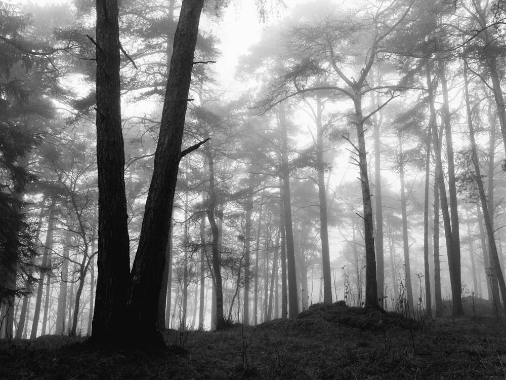 Erlend-B-Enger_Landscape-b&w-(30).jpg