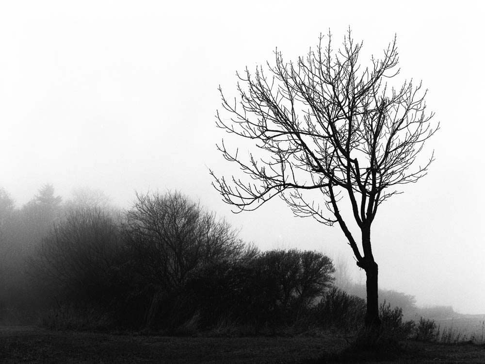 Erlend-B-Enger_Landscape-b&w-(31).jpg