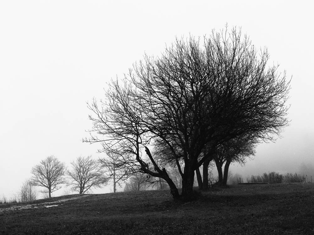 Erlend-B-Enger_Landscape-b&w-(32).jpg