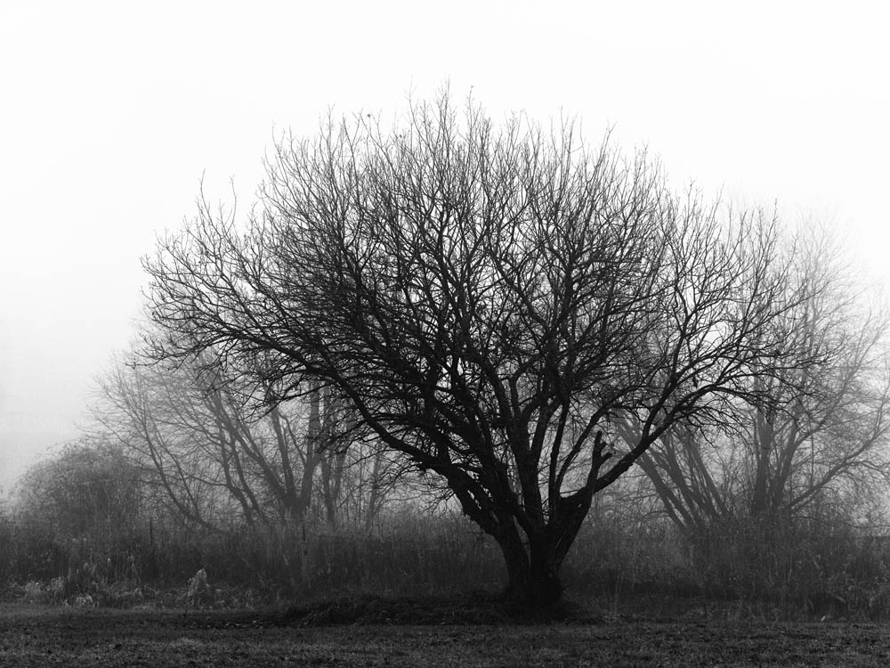 Erlend-B-Enger_Landscape-b&w-(33).jpg