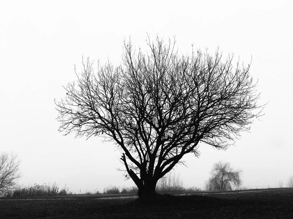 Erlend-B-Enger_Landscape-b&w-(34).jpg