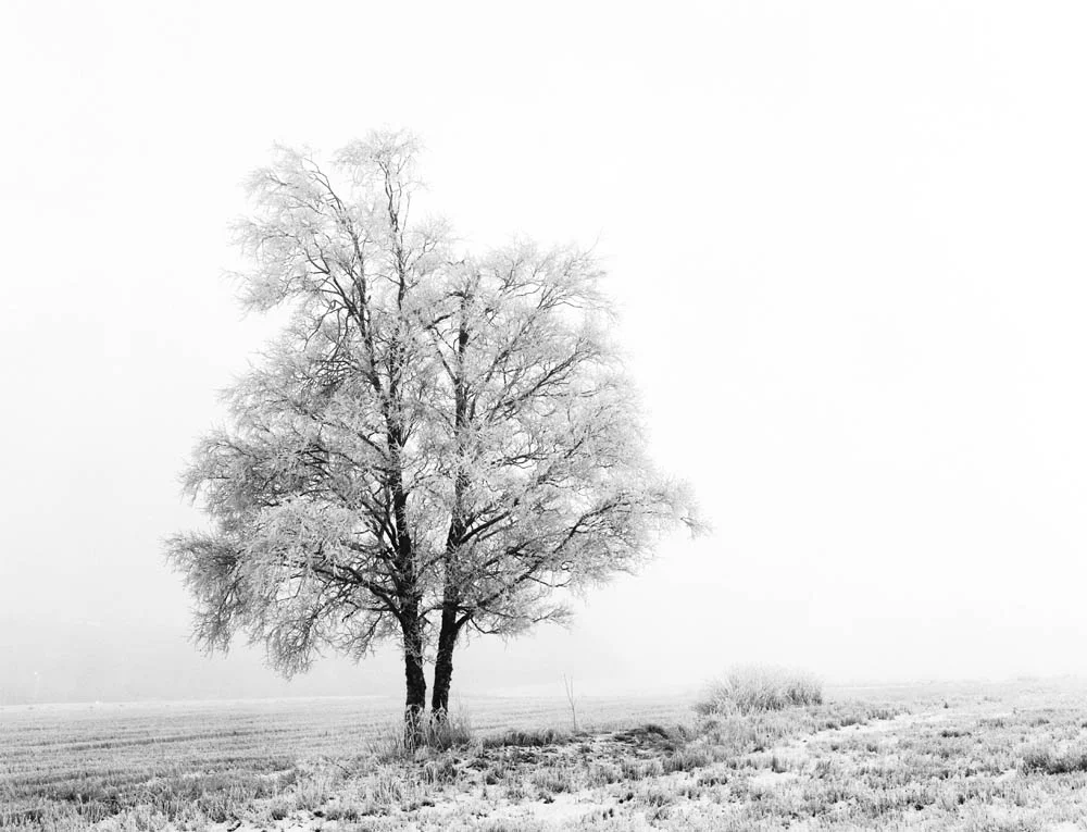 Erlend-B-Enger_Landscape-b&w-(40).jpg