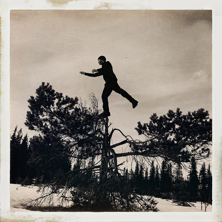 Erlend-B-Enger-onetreeme-trær-trees-people-climbing-climbingtrees-hipstamatic-fineart-topofthetrees-treetops- (1).JPG