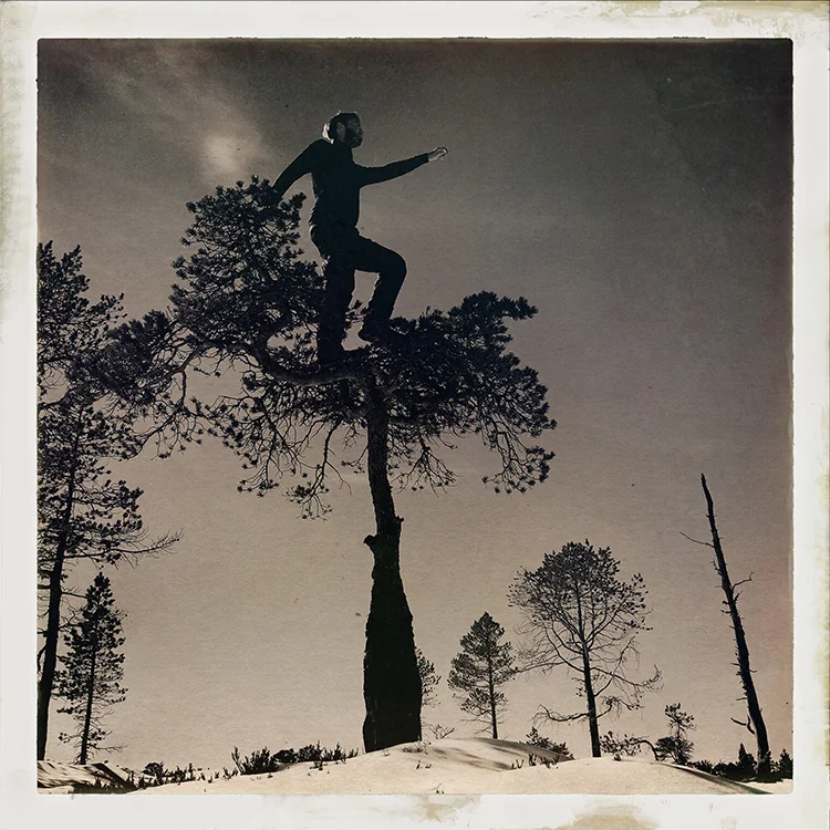 Erlend-B-Enger-onetreeme-trær-trees-people-climbing-climbingtrees-hipstamatic-fineart-topofthetrees-treetops- (3).JPG