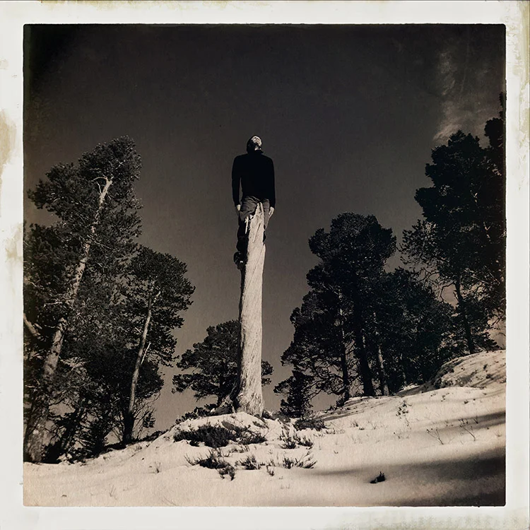 Erlend-B-Enger-onetreeme-trær-trees-people-climbing-climbingtrees-hipstamatic-fineart-topofthetrees-treetops- (5).JPG