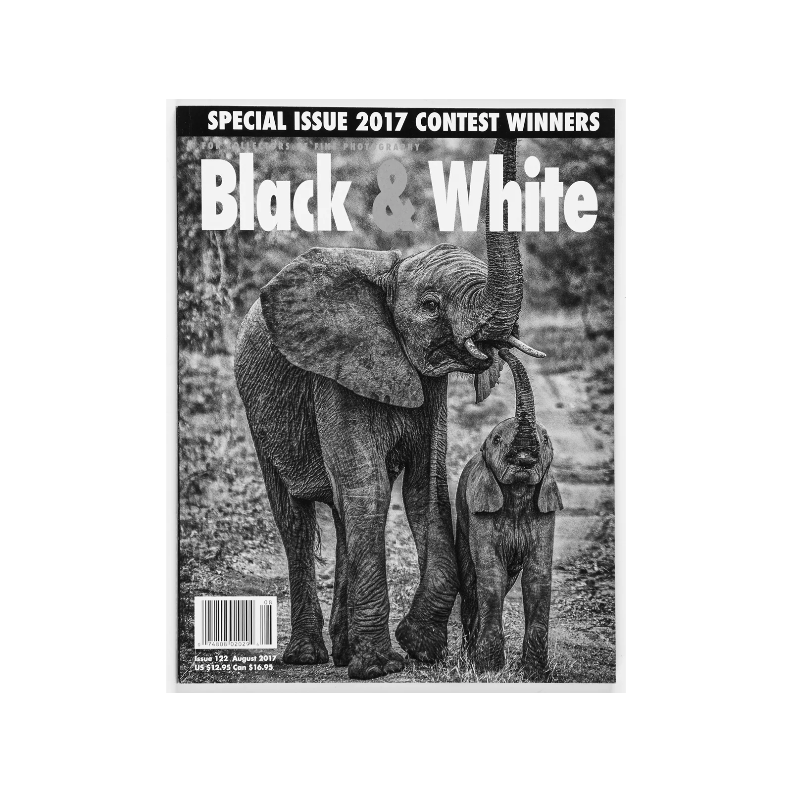 2017 B&W Merit Portfolio award-erlendbenger.net (1).jpg