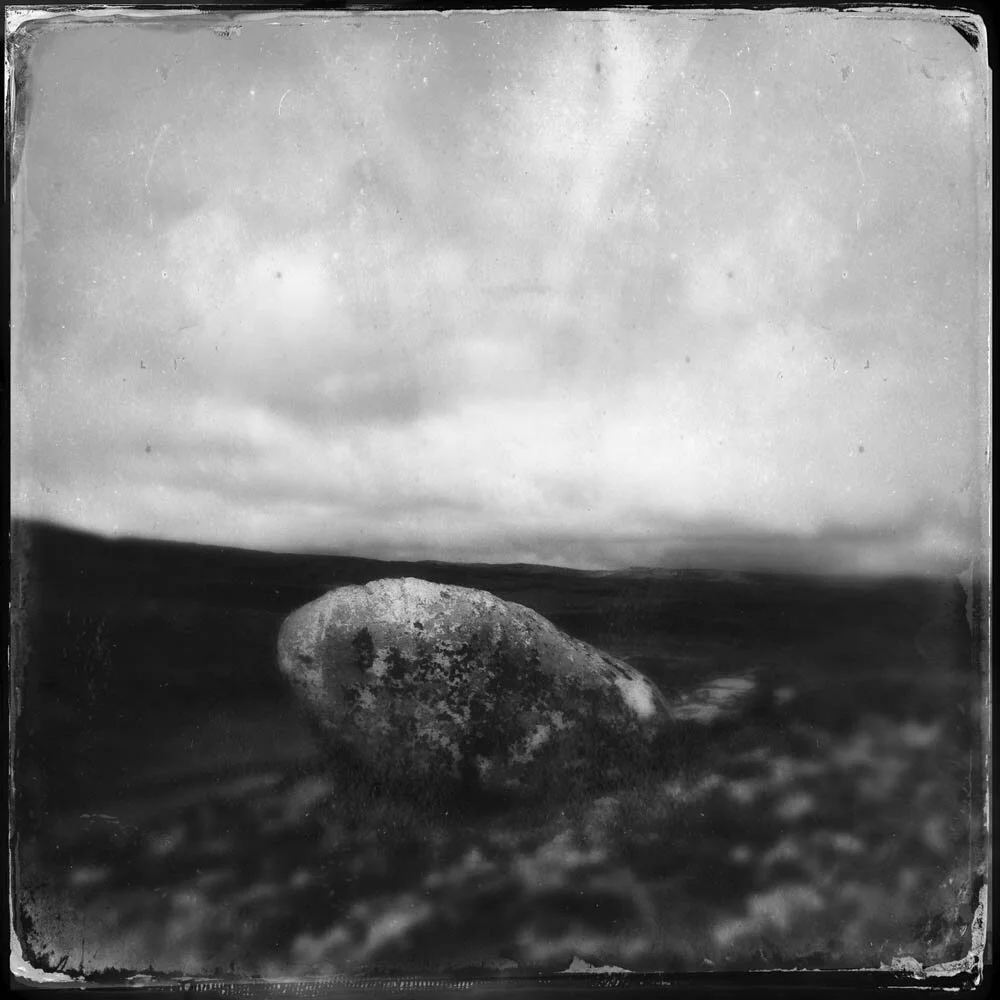 1-erlendbenger-Erlend-B-Enger_Landscape-b&w-Trees-lonelytrees-hipstamatic-iNature-landscapephotography-naturephoto-blackandwhitephotography (18).jpg