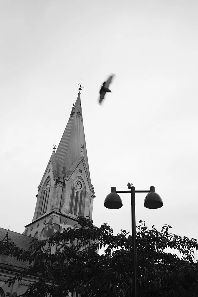 fotograferlendbenger, erlendbenger, ledelys, gatelykter,gatelys, lampestolper, gatebelysning,  lyktestolper, offentlig belysning, trafikklys, ledelamper, veilys, melhus, stjørdal, trondheim  (16).jpg
