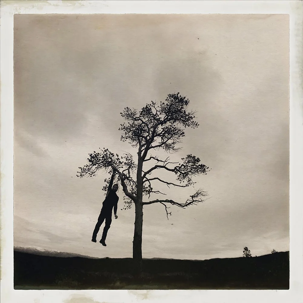 erlendbenger-onetreeme-trær-trees-people-climbing-climbingtrees-hipstamatic-fineart-topofthetrees-treetops (27).JPG