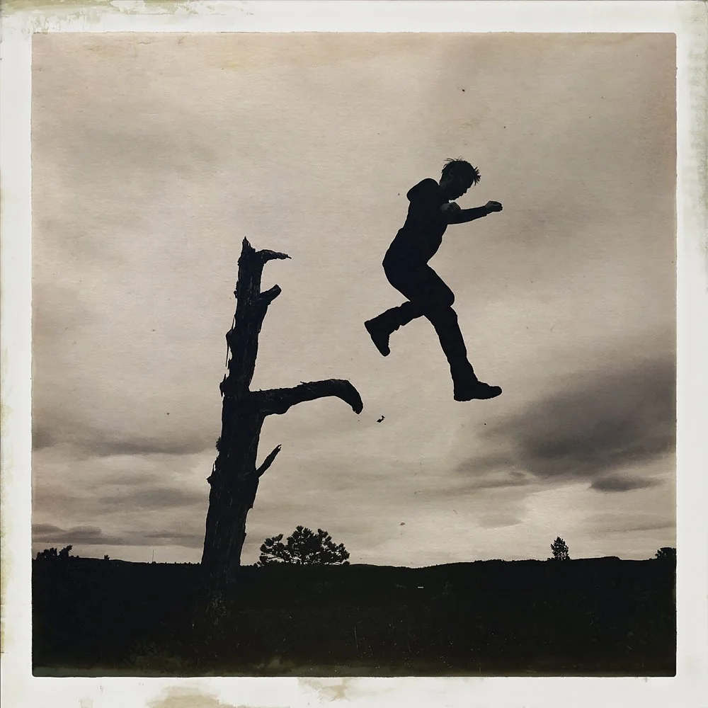 erlendbenger-onetreeme-trær-trees-people-climbing-climbingtrees-hipstamatic-fineart-topofthetrees-treetops (29).JPG