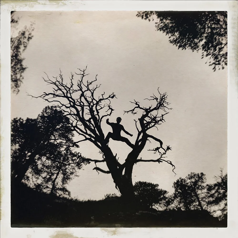 erlendbenger-onetreeme-trær-trees-people-climbing-climbingtrees-hipstamatic-fineart-topofthetrees-treetops (6).jpg