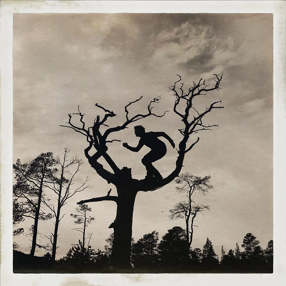 erlendbenger-onetreeme-trær-trees-people-climbing-climbingtrees-hipstamatic-fineart-topofthetrees-treetops (15).JPG