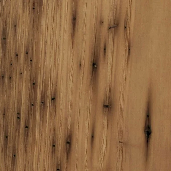 Reclaimed Wormy Chestnut