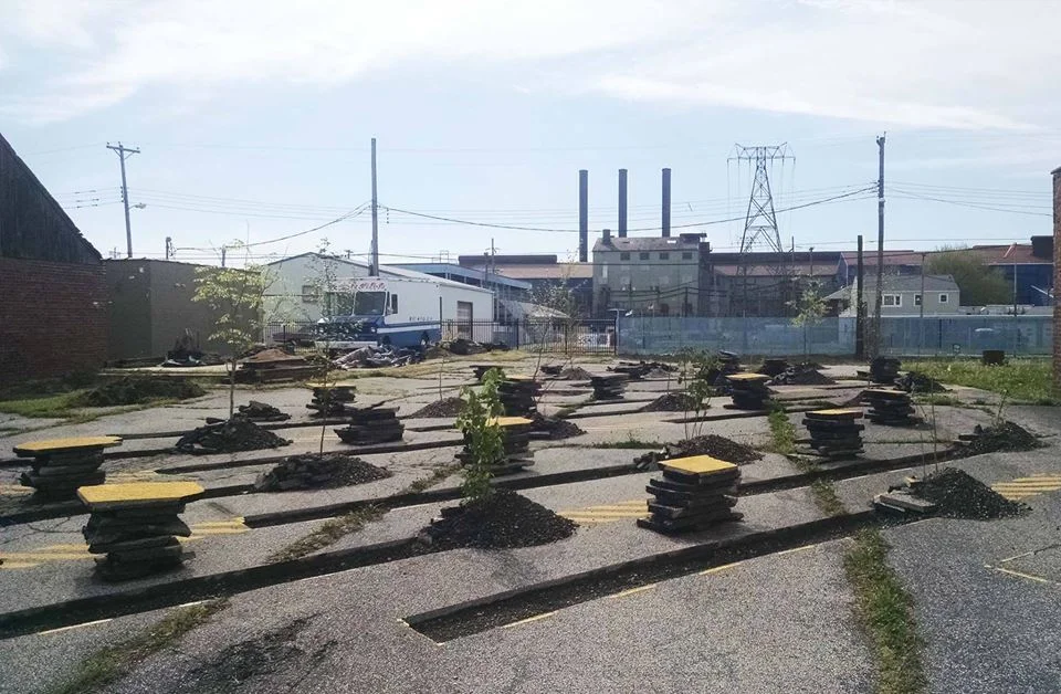 Cocktails &amp; Conversation: Art + Landscape STL Panel Discussion