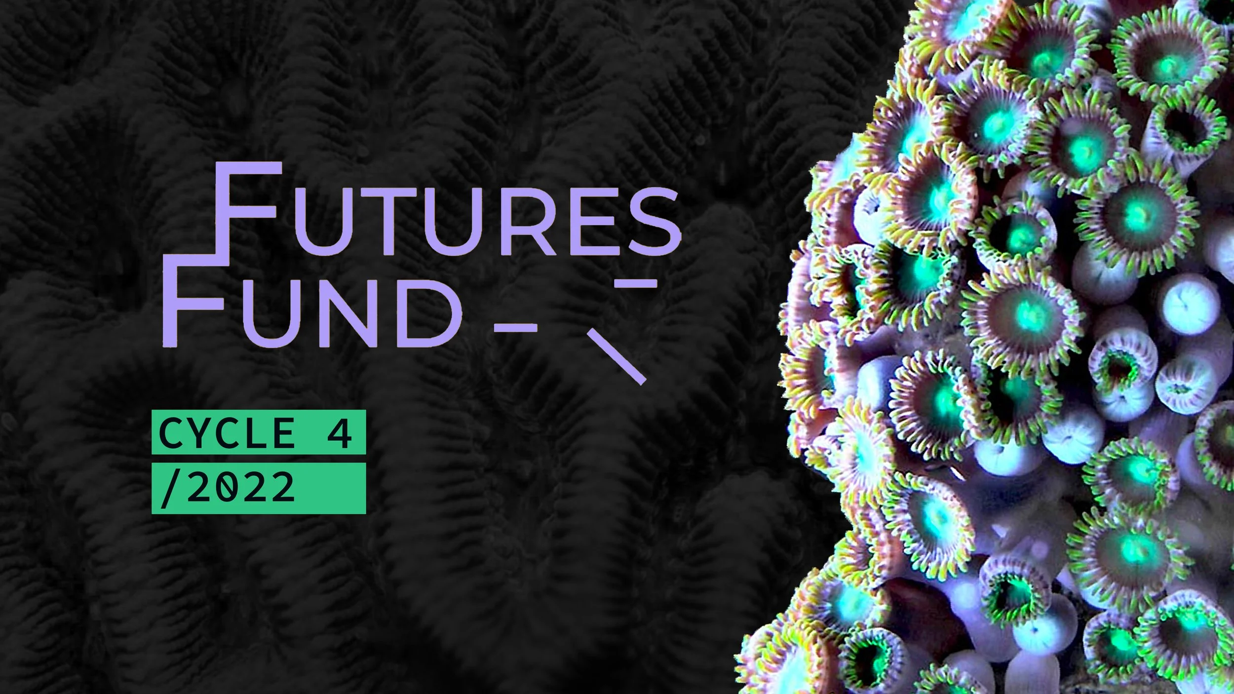 Futures Fund: Cycle 4 (2022) Application DUE / The Luminary