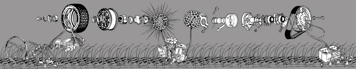 The Birth Of The Automobile (Vinyl Design For Kitchen Area)