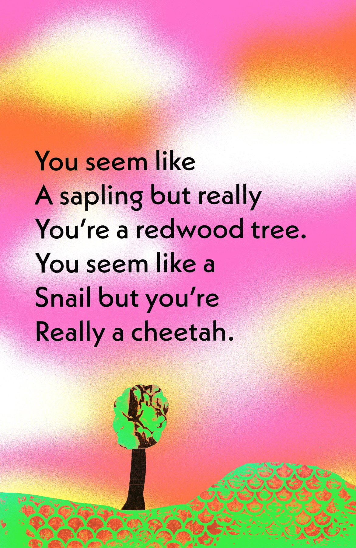 RedwoodBroadside.png
