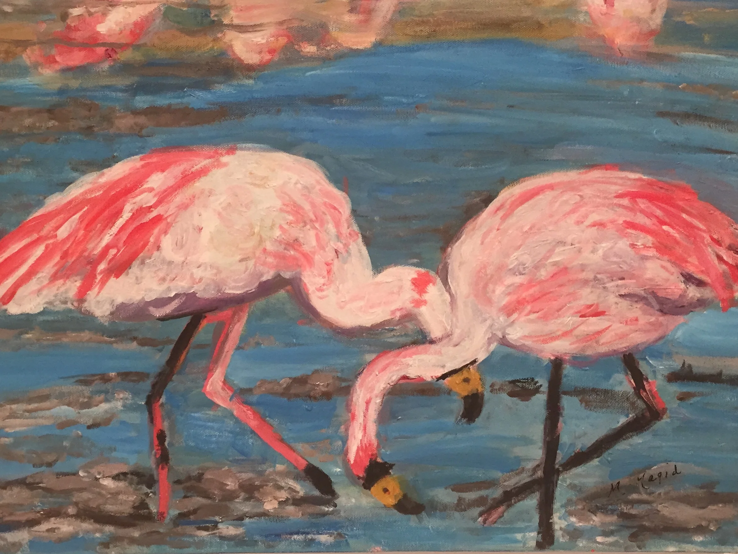 Flamingos