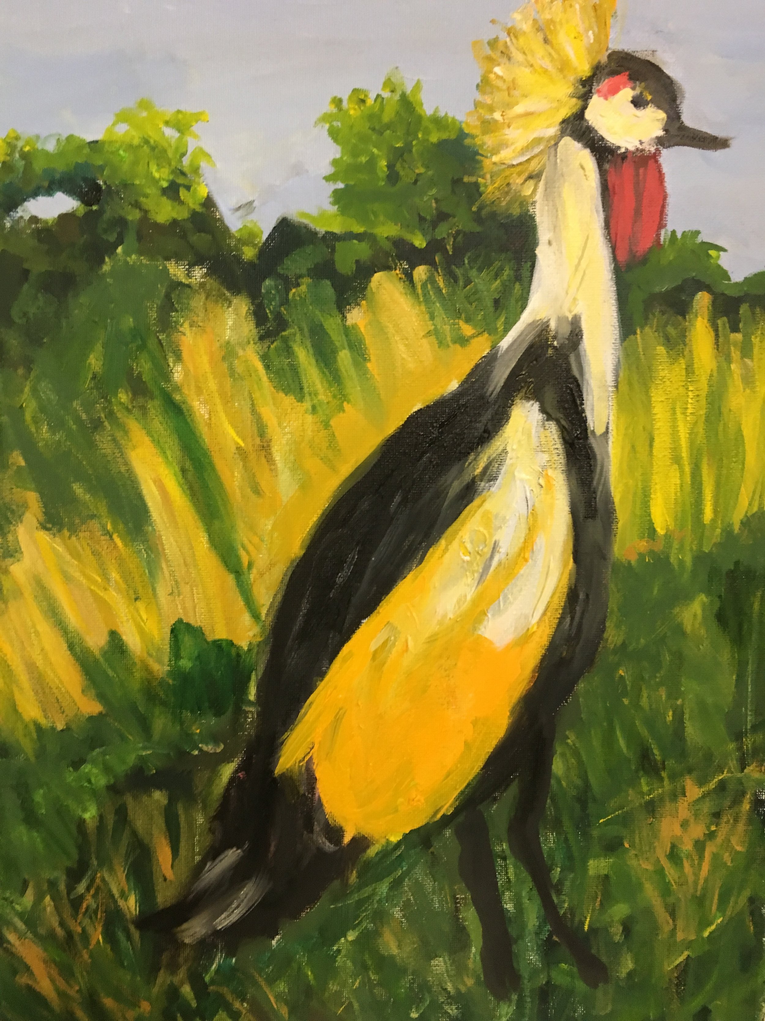 Yellow-Crested Crane