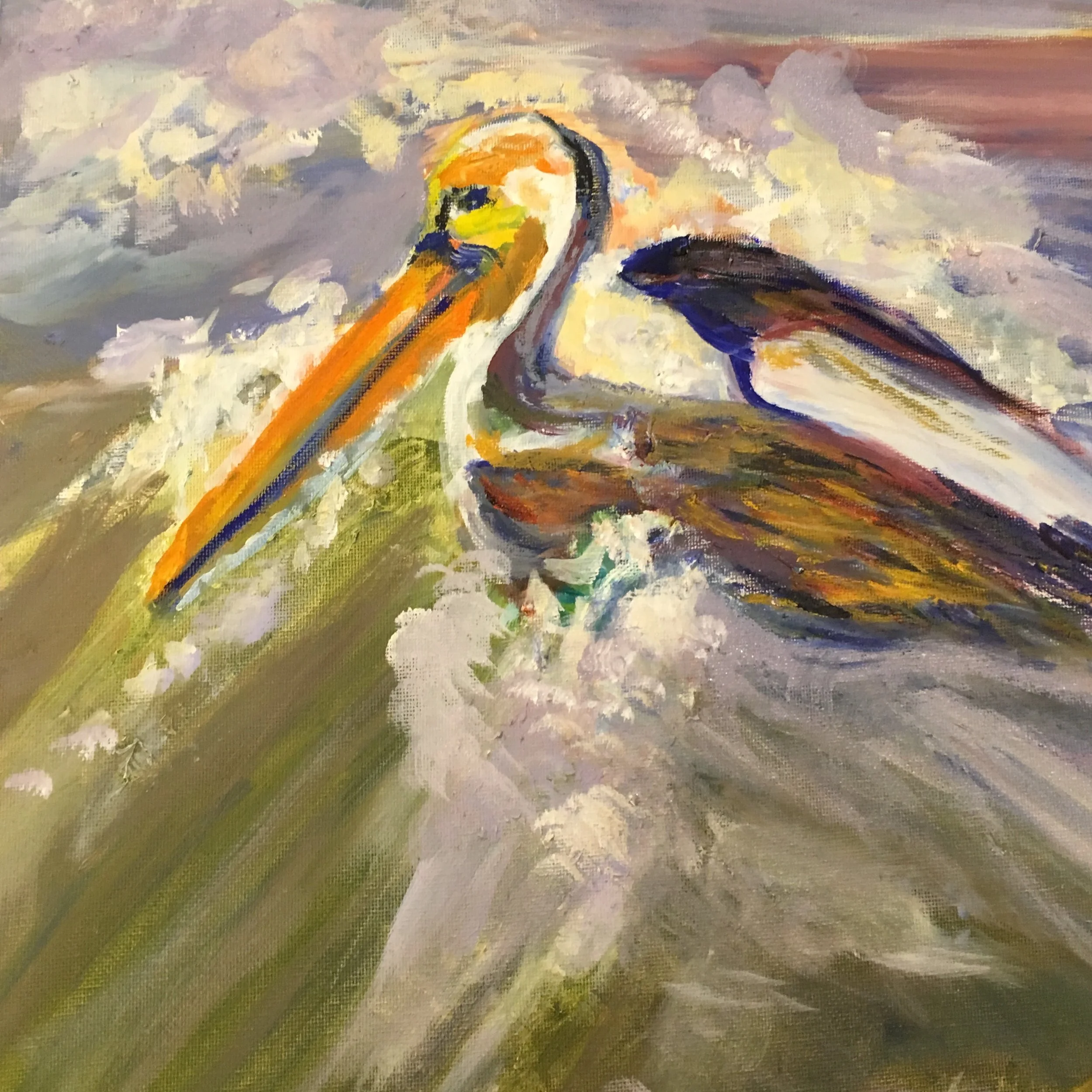 Pelican Bath